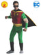 Adult Robin Costume